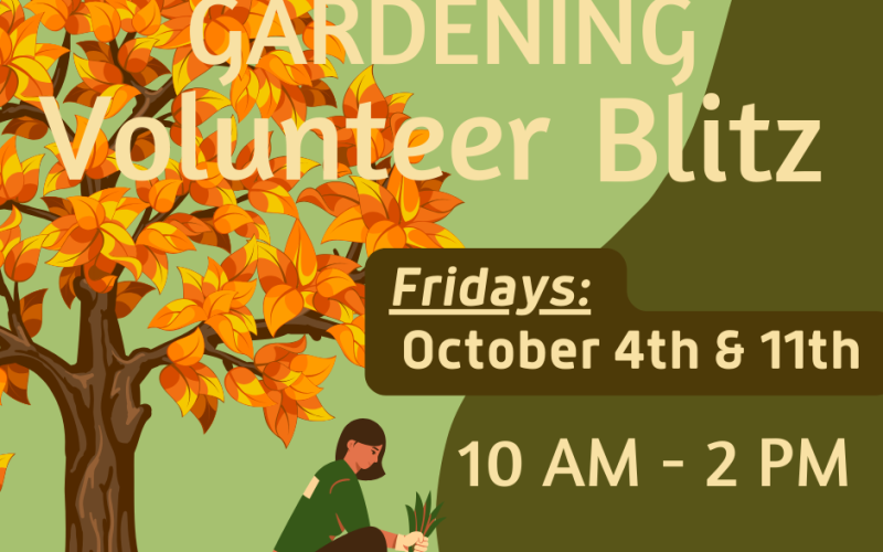 Fall 2024 Volunteer Days
