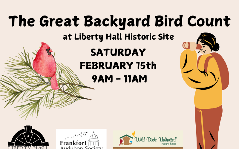 The Great Backyard Bird Count