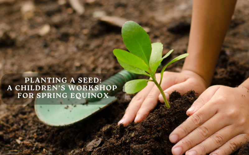 Planting a Seed: children's Workshop