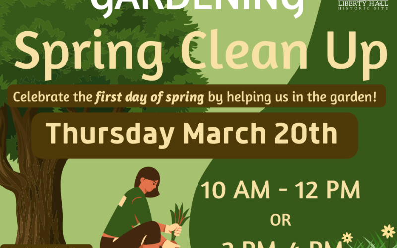 Spring Clean Up