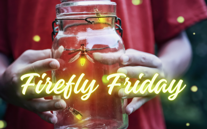 Firefly Friday