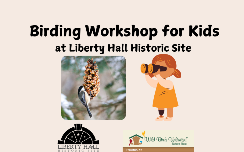 Bird workshop