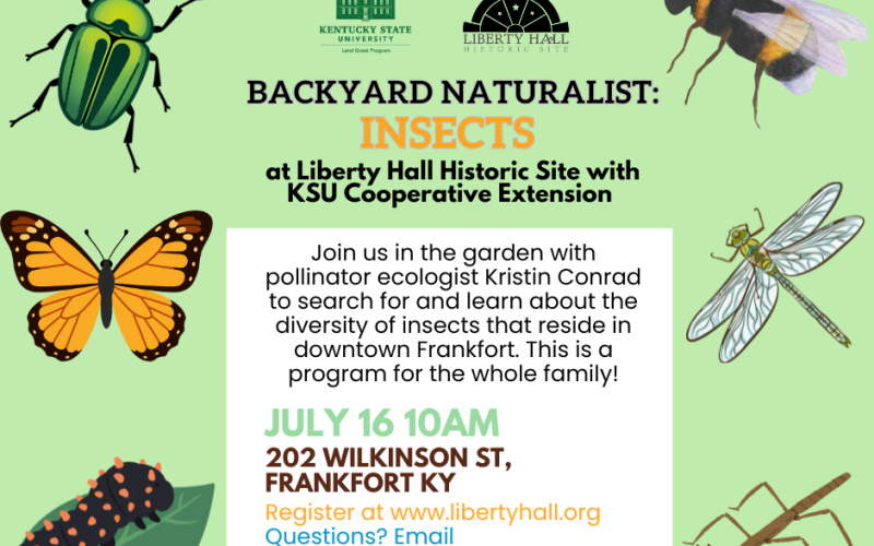 backyard natural insects