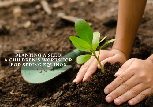 Planting a Seed: children's Workshop