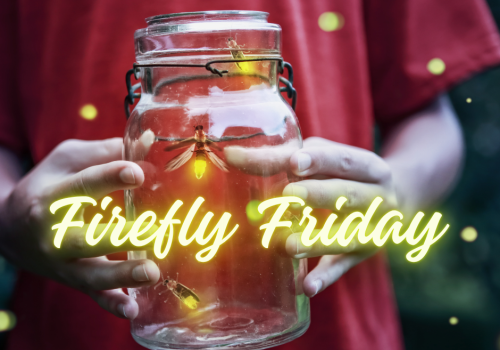 Firefly Friday