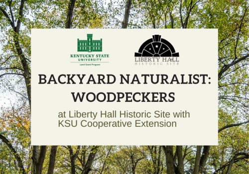 Backyard naturalist