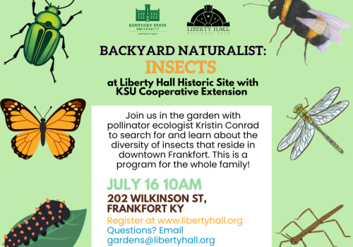 backyard natural insects
