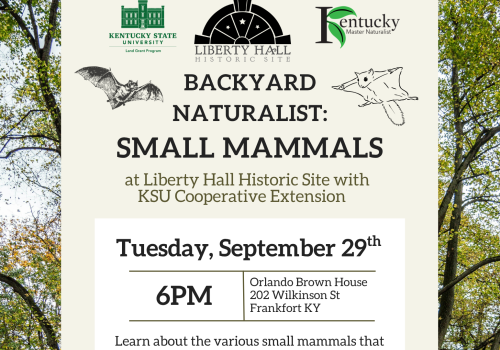 backyard naturalist mammals