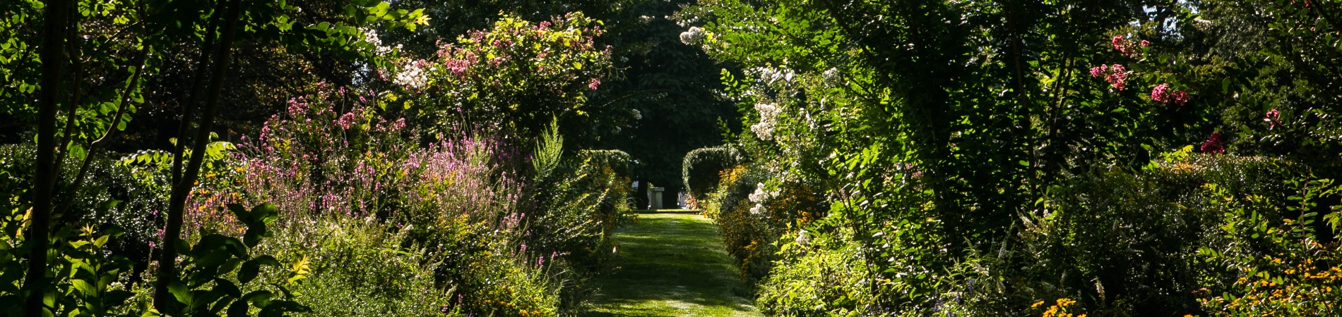 Garden path